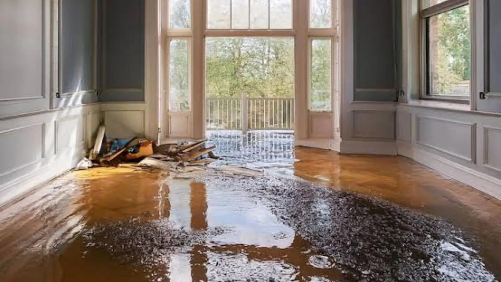 Flooded hardwood living room with standing water and debris near tall windows